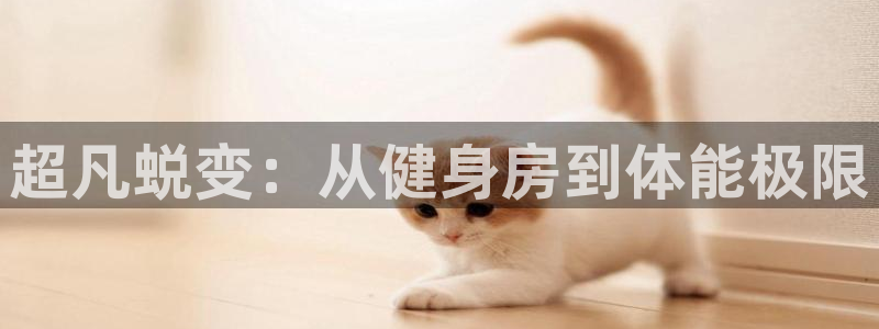 龙8官网手机登入口