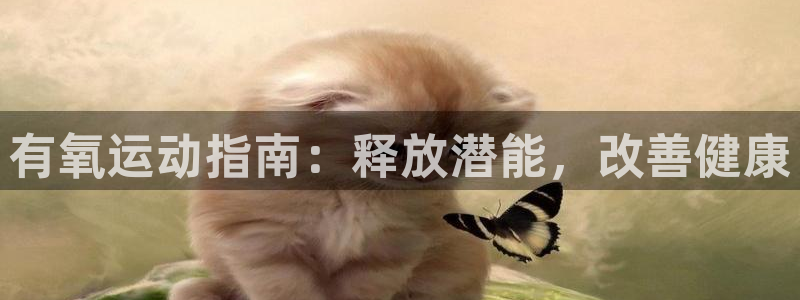 龙8国际城
