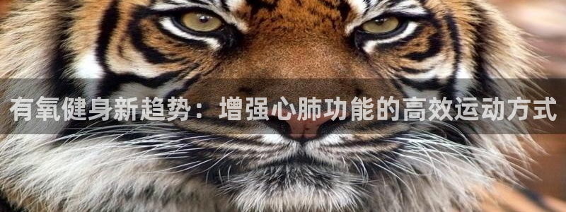龙8头号玩家游戏官方进入
