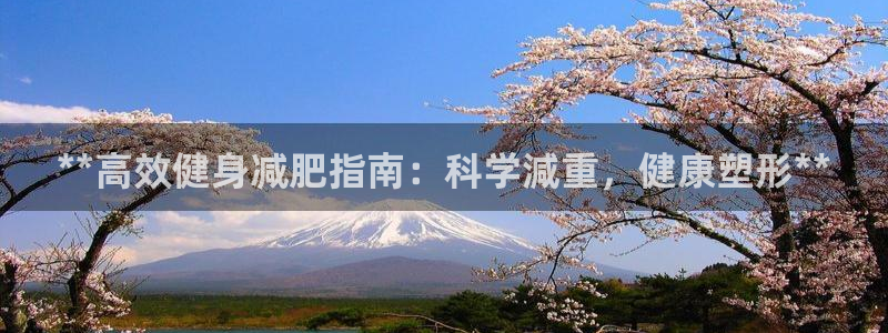 龙8游戏平台的网站