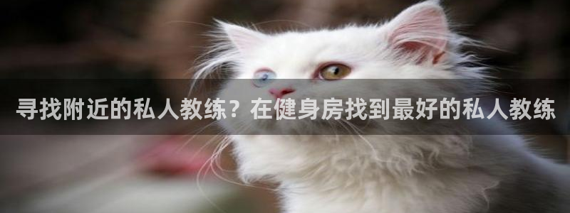 龙8国际ing