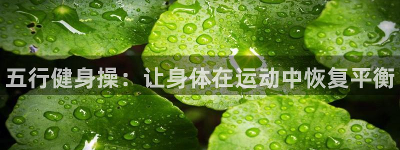 龙8国际开户