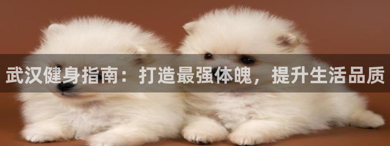 龙8国际pt网址官方