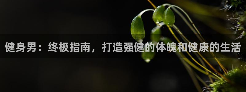 龙8电子游艺网址多少