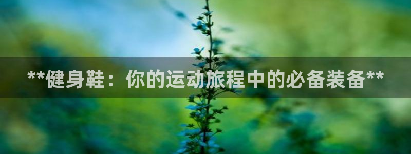 下载龙八国际官网