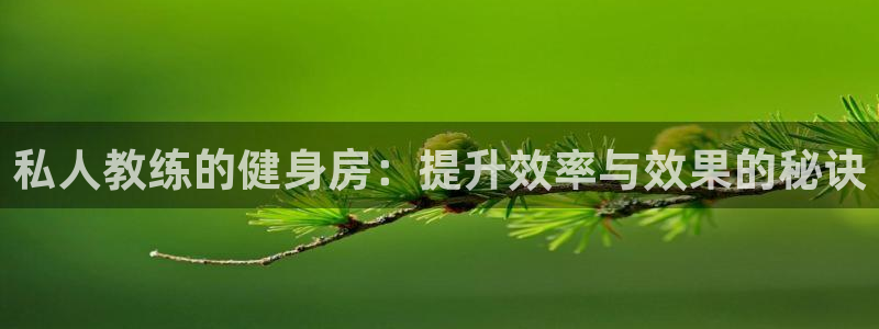 龙8国际服