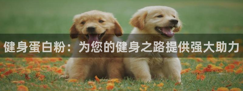 龙8国际老虎机官方