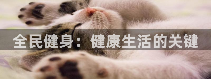 龙8国际游戏最新资讯