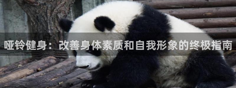 龙8国际是什么平台