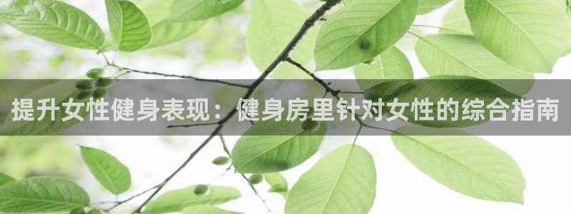龙8国际平台