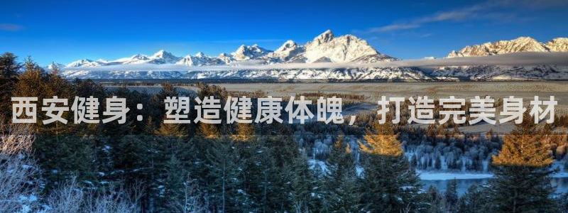 龙8游戏官方网站p