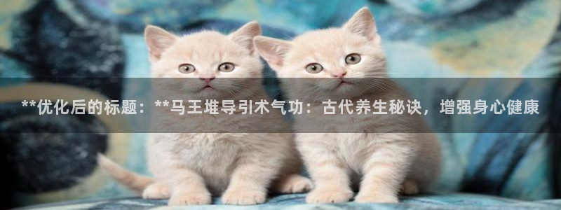龙8国际游戏娱乐