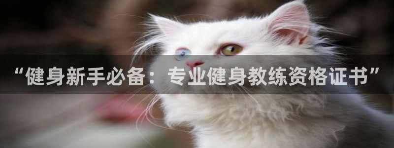 龙8游戏官方网站s