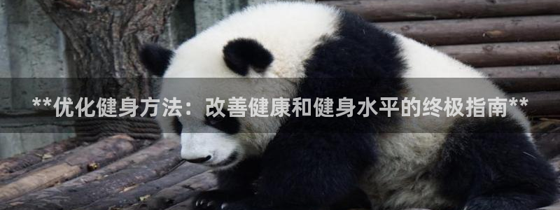 国际龙8官方网站