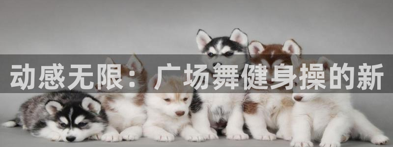 龙8国际com