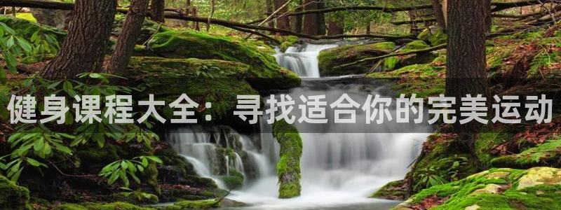 龙8国际pt官方网址