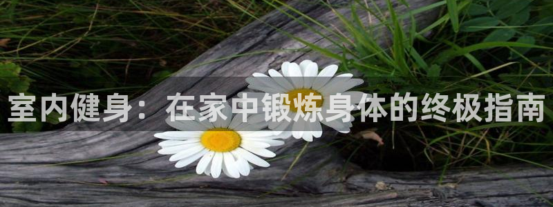 龙八国际娱乐老板是谁