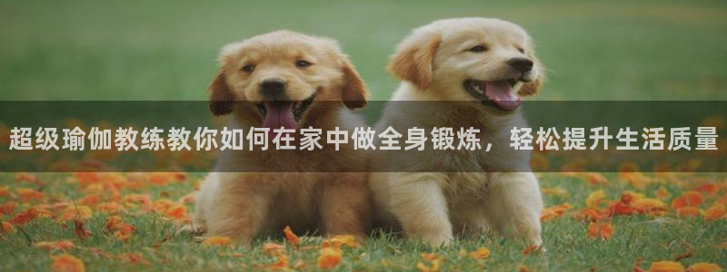 龙八国际app客户下载