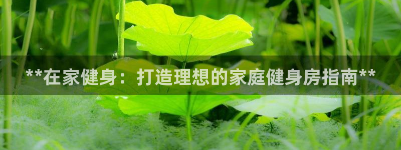 龙8国际服