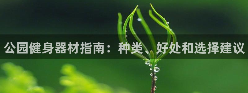 国际龙8hk
