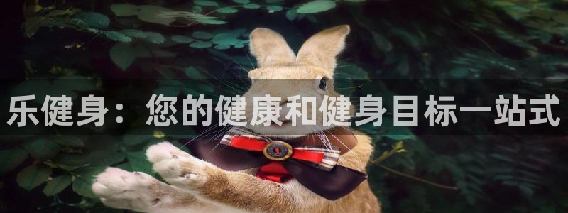 龙八国际娱乐网页多少