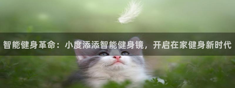 龙8游戏官方进入