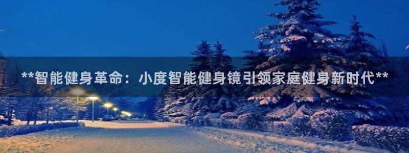 龙8国际pt