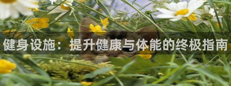 龙8国际app下载官网手机版最新版