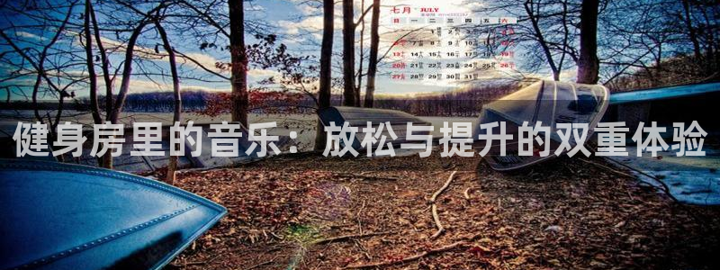 龙 八国际