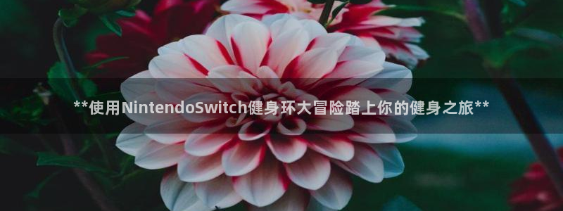 龙8国际官网-手机点此进入