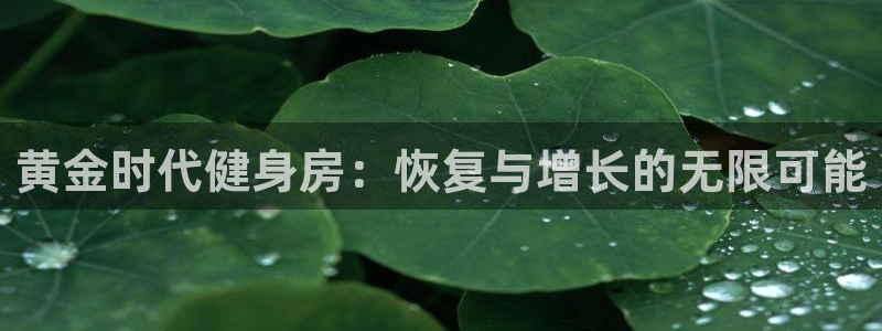 龙8国际手机版app