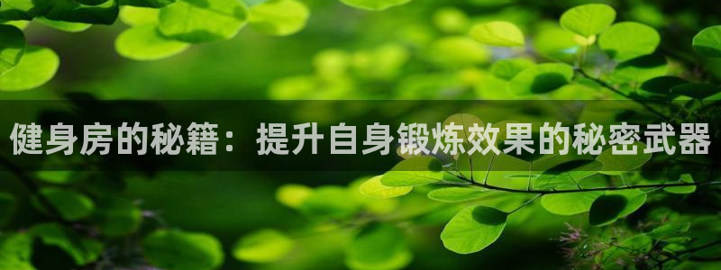 龙8国际官方网址下载