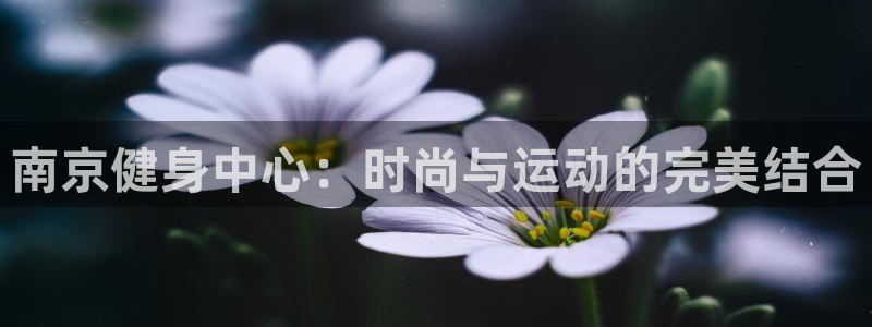 龙8国际老虎机电子