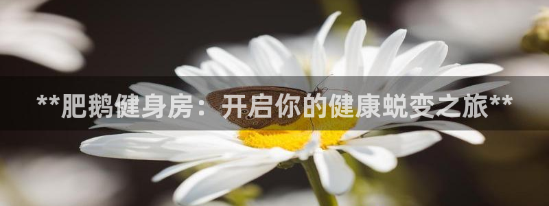 龙8国际服