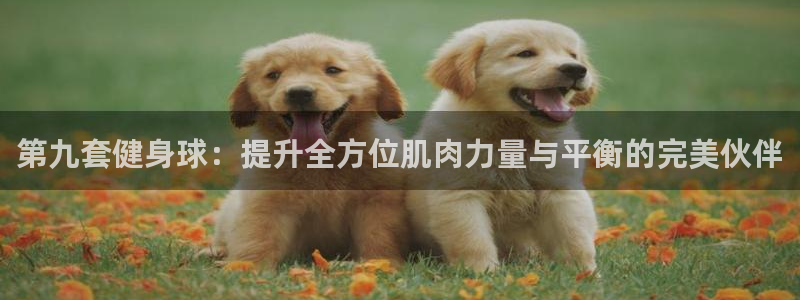 龙8国际官网老虎机