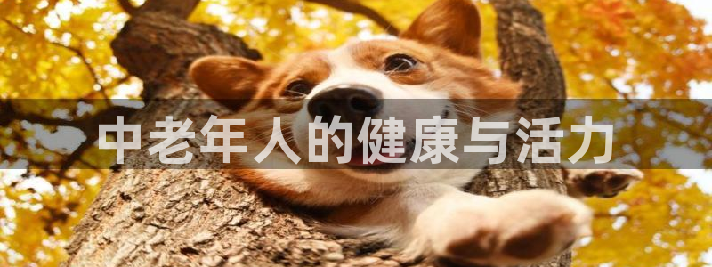 龙8国际中国唯一官方网站