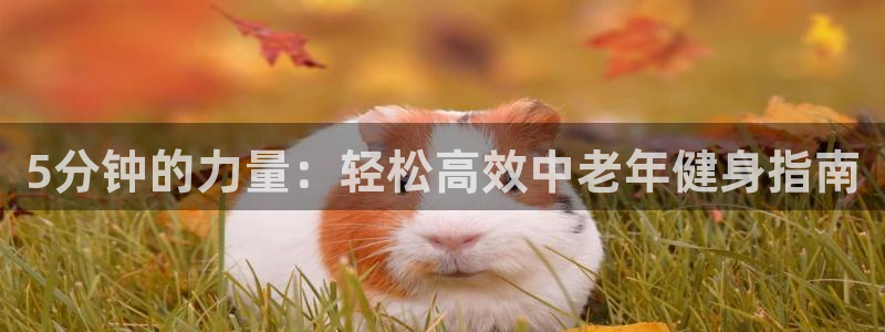 下载龙8国际