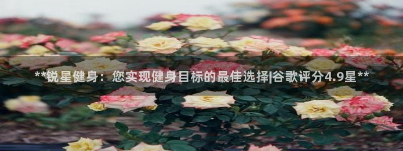 龙8国际的官网