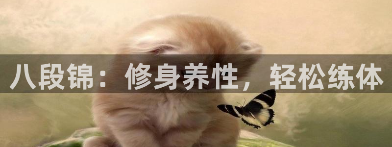 龙八棋牌