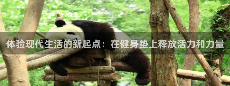 龙八国际服官网入口