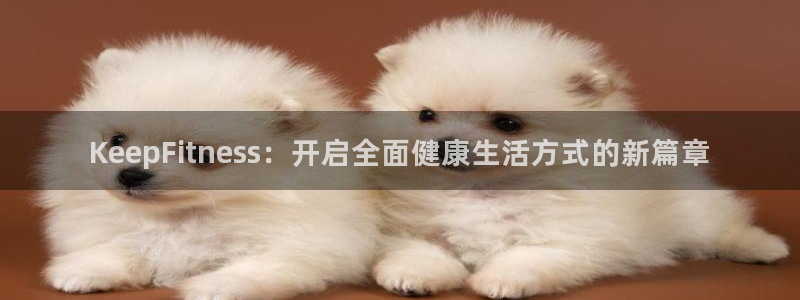 龙8国际app客户端下载不了