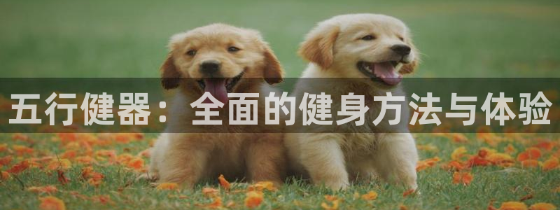 龙8国际官网唯一入口