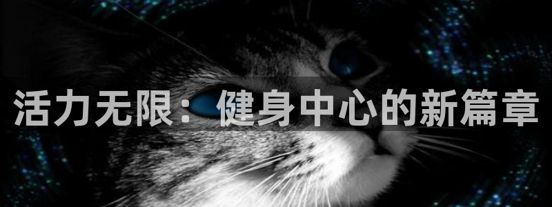 龙8国际官网官方版fxzls天地手游 -kc -安卓