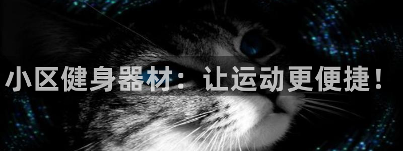 龙8国际app官网下载