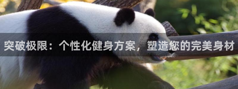 龙8国际官网进入