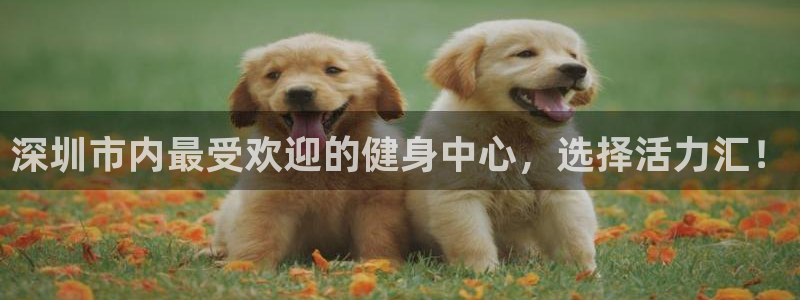 龙8国际唯一官网手游登入口