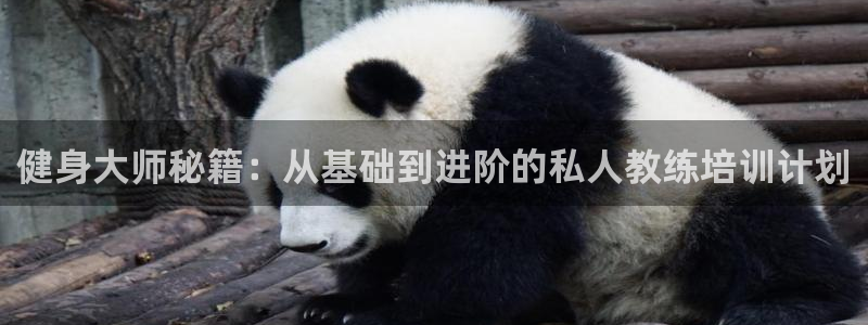 龙8国际游戏最新资讯