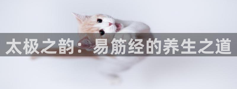 龙八国际娱乐老板是谁