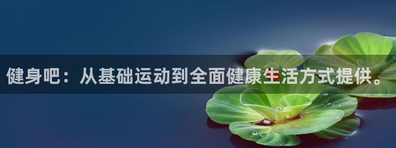 龙8国际网站怎么样