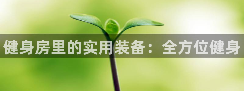 龙8国际app客户端下载